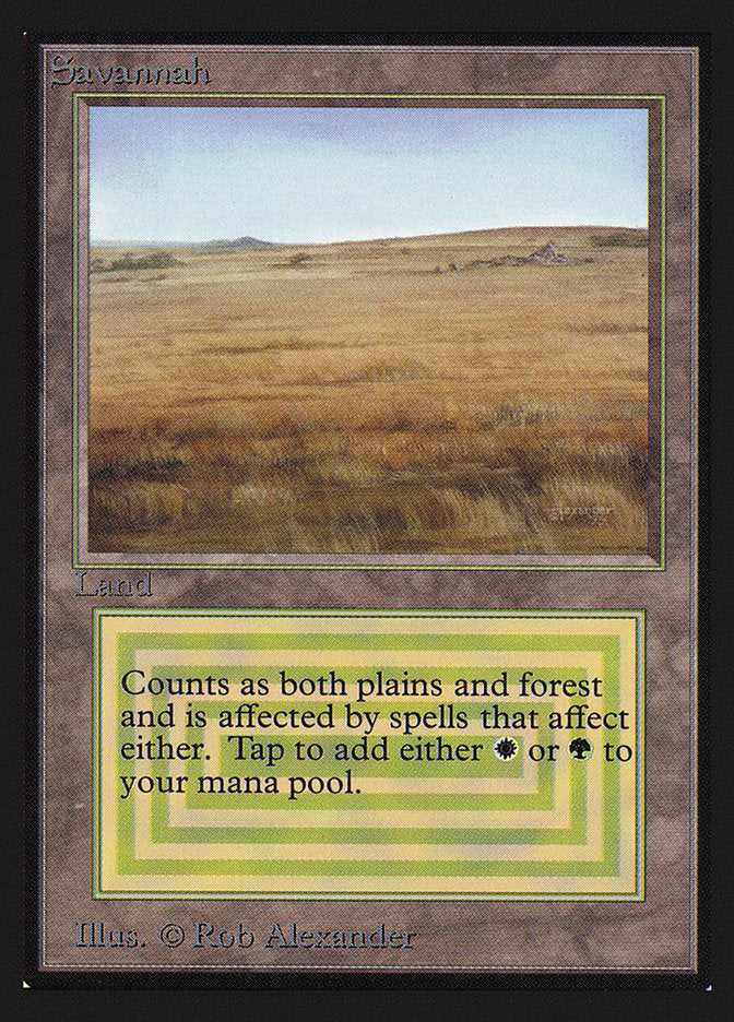 Savannah [International Collectors' Edition] | Good Games Modbury