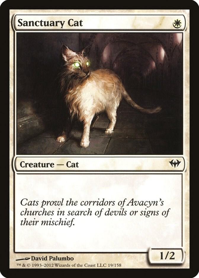 Sanctuary Cat 19/158 (Dark Ascension)  - Foil | Good Games Modbury