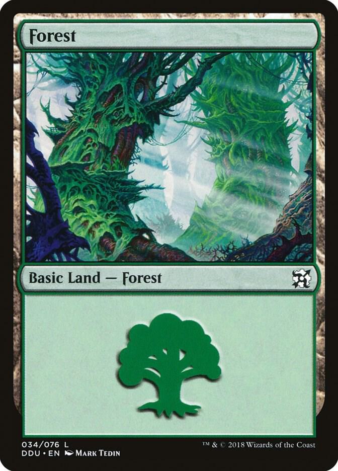 Forest 34/76 (Duel Decks: Elves vs. Inventors)  | Good Games Modbury