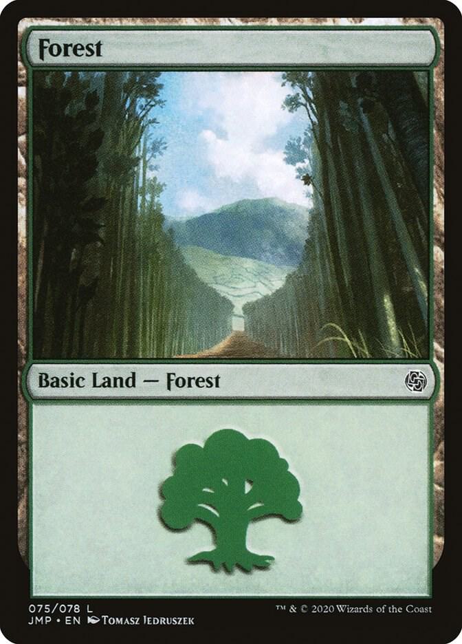 Forest 75/495 (Jumpstart)  | Good Games Modbury