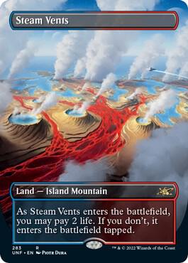 Steam Vents Borderless 283/244 (Unfinity)  | Good Games Modbury