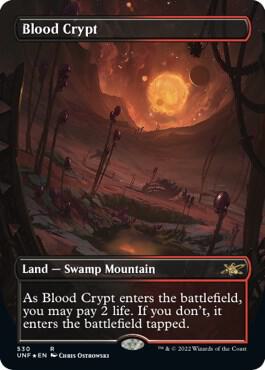 Blood Crypt Borderless Galaxy Foil 530/244 (Unfinity)  - Foil | Good Games Modbury