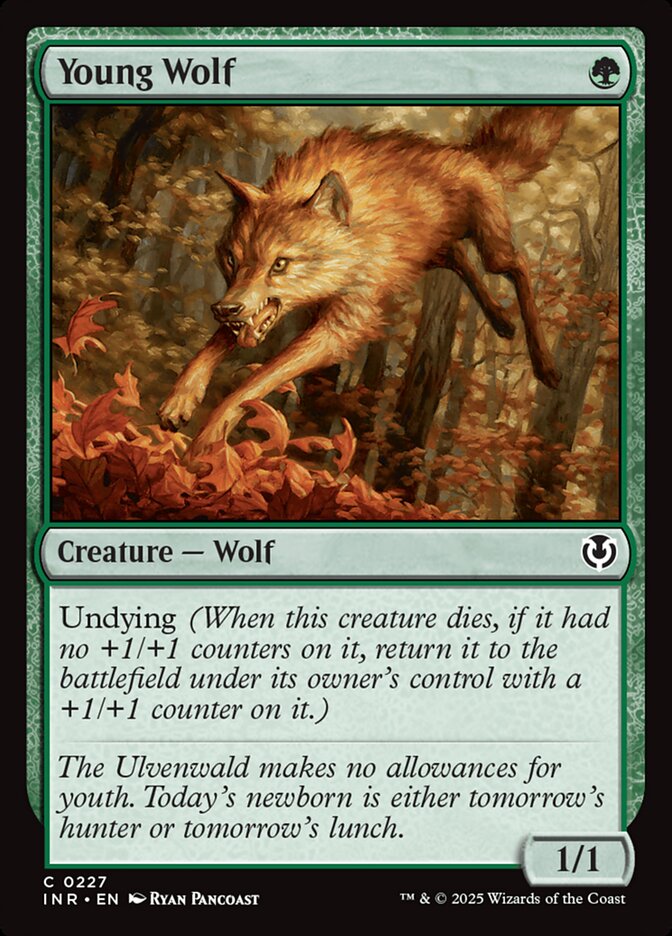 Young Wolf 227/287 (Innistrad Remastered)  - Foil | Good Games Modbury