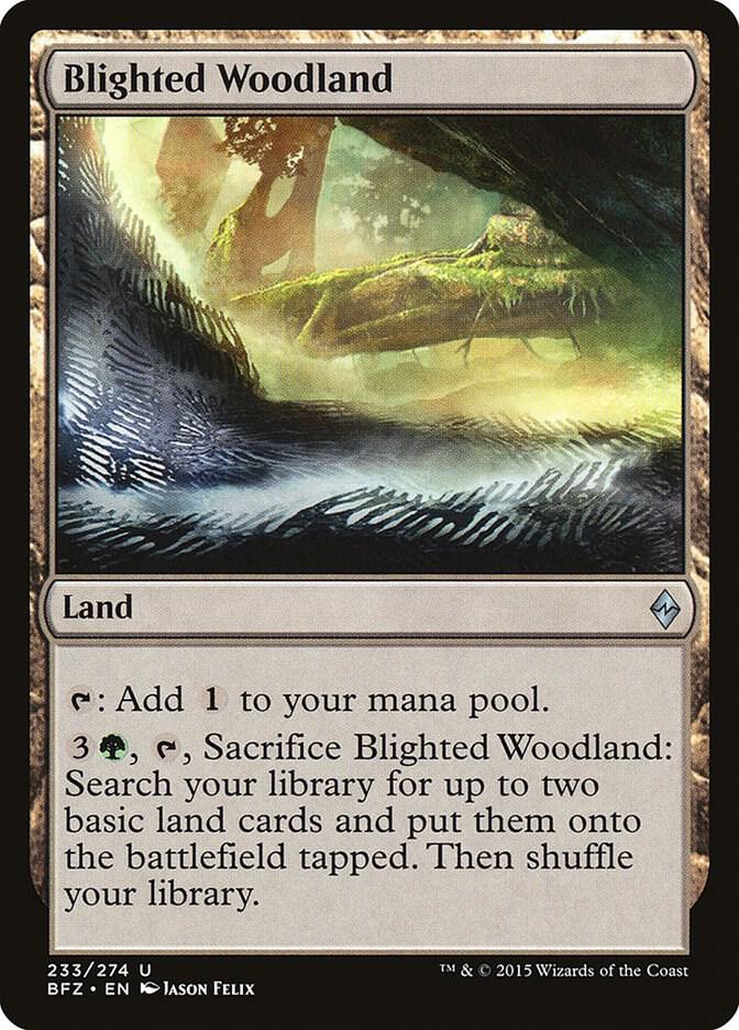 Blighted Woodland 233 (Battle for Zendikar)  | Good Games Modbury