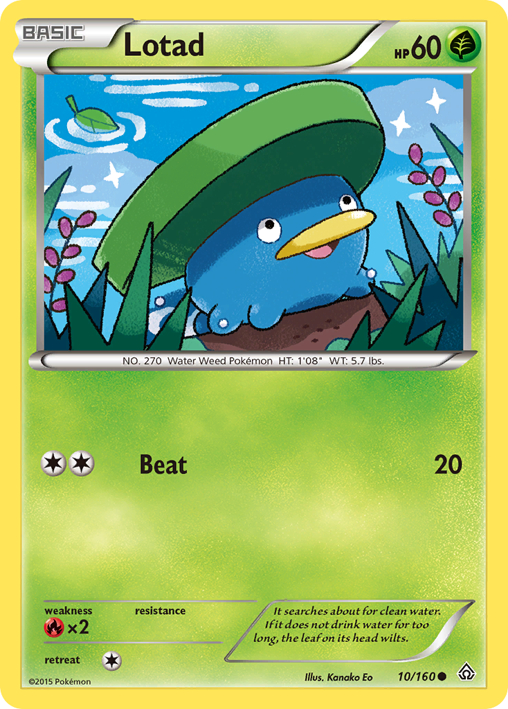 Lotad (10/160) [XY: Primal Clash] | Good Games Modbury