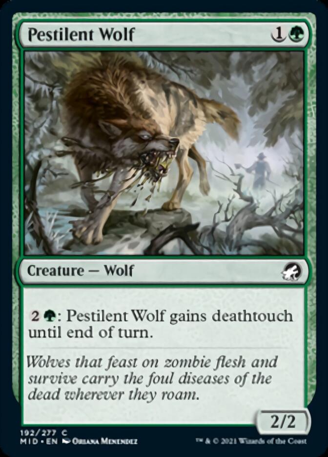 Pestilent Wolf [Innistrad: Midnight Hunt] | Good Games Modbury