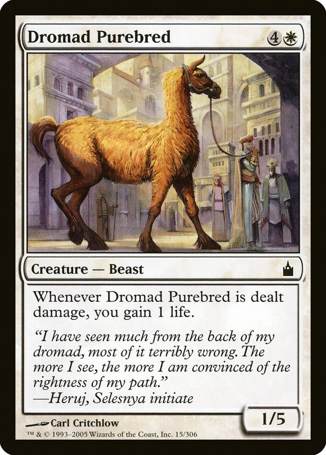 Dromad Purebred [Ravnica: City of Guilds] | Good Games Modbury