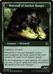 Sage of Ancient Lore // Werewolf of Ancient Hunger [Shadows over Innistrad Prerelease Promos] | Good Games Modbury