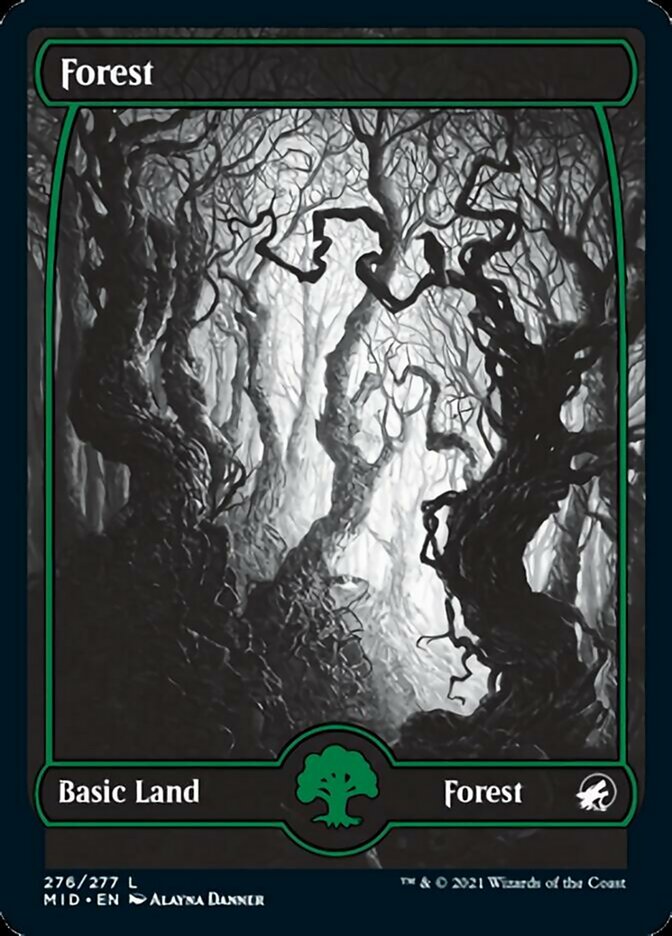 Forest (276) [Innistrad: Midnight Hunt] | Good Games Modbury