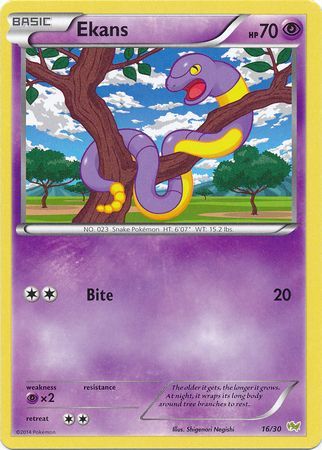 Ekans (16/30) [XY: Trainer Kit - Noivern] | Good Games Modbury