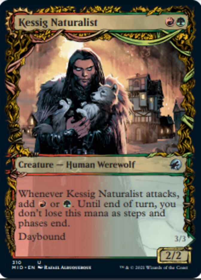 Kessig Naturalist // Lord of the Ulvenwald (Showcase Equinox) [Innistrad: Midnight Hunt] | Good Games Modbury