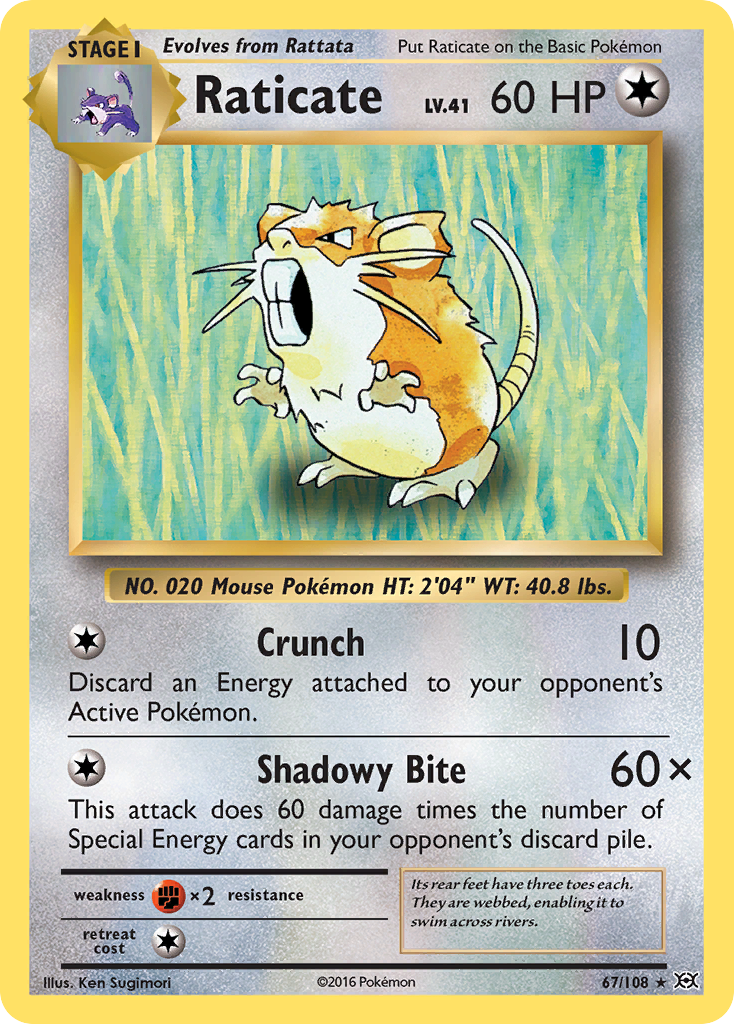 Raticate (67/108) [XY: Evolutions] | Good Games Modbury