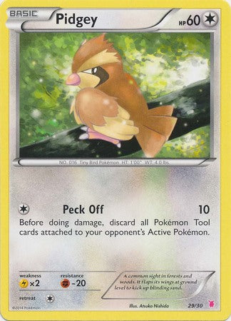 Pidgey (29/30) [XY: Trainer Kit 1 - Wigglytuff] | Good Games Modbury