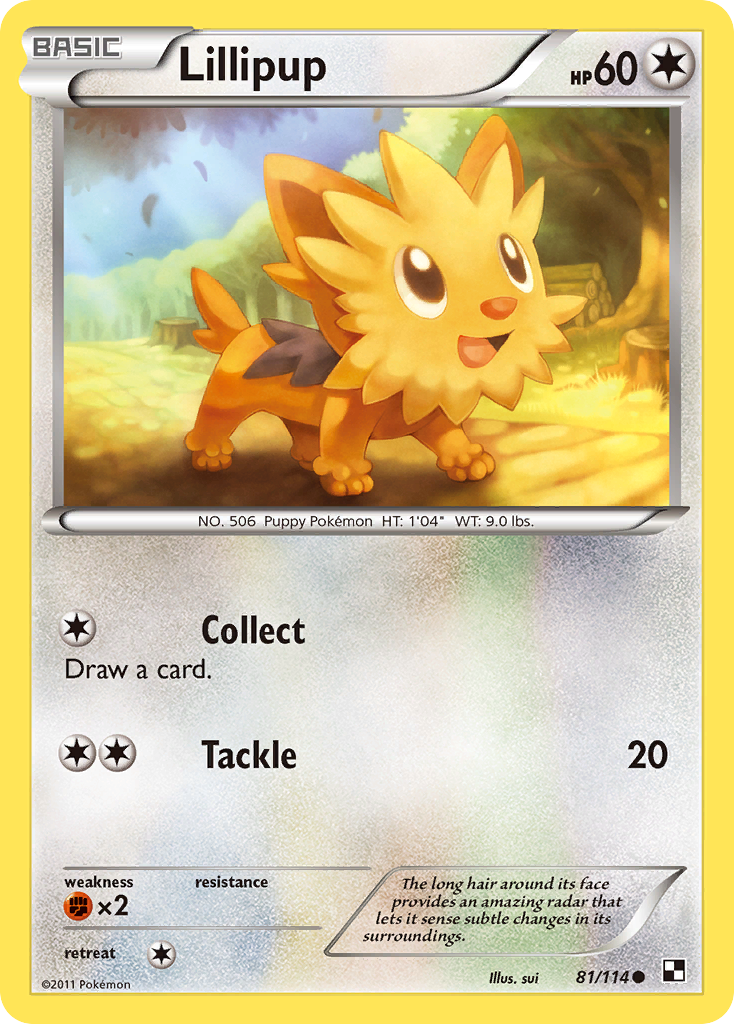 Lillipup (81/114) [Black & White: Base Set] | Good Games Modbury