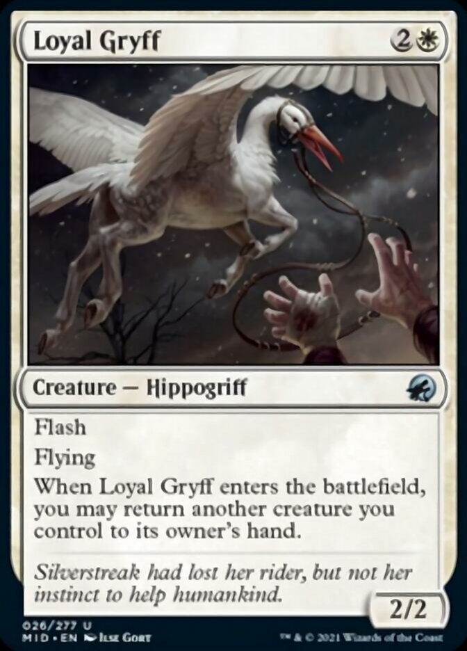 Loyal Gryff [Innistrad: Midnight Hunt] | Good Games Modbury