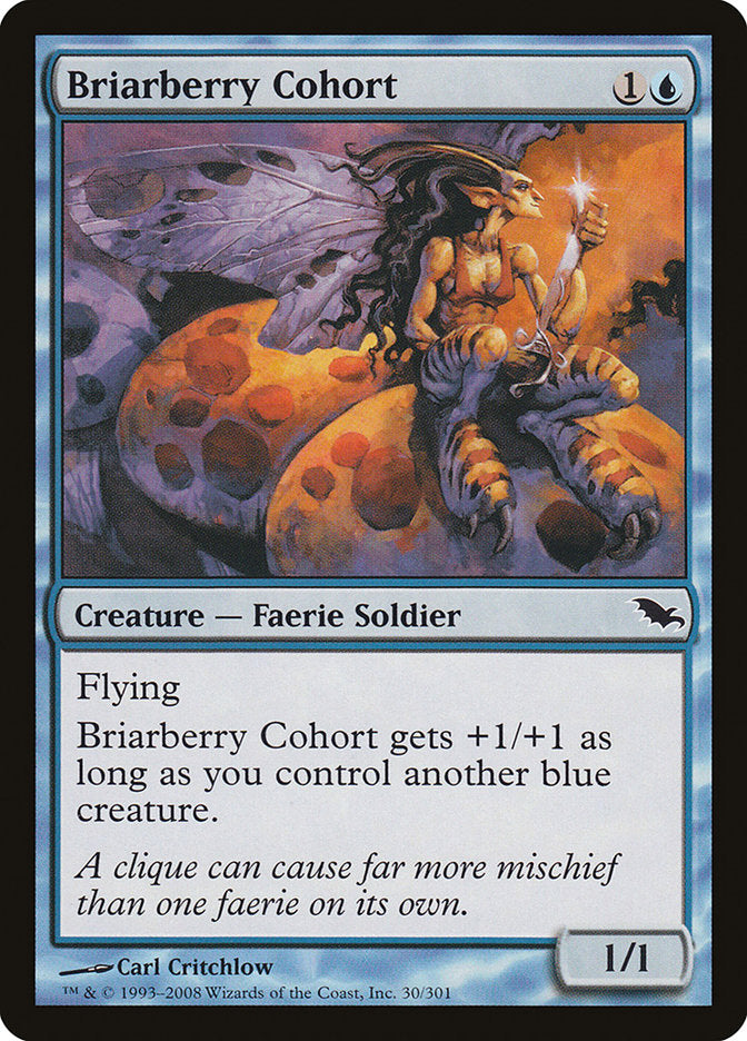 Briarberry Cohort [Shadowmoor] | Good Games Modbury