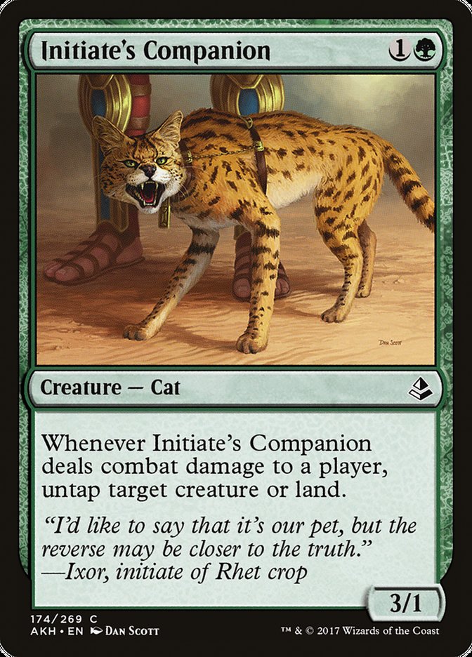 Initiate's Companion [Amonkhet] | Good Games Modbury