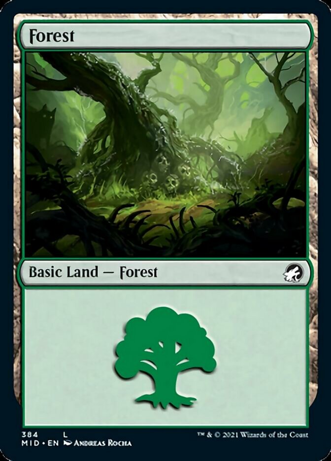 Forest (384) [Innistrad: Midnight Hunt] | Good Games Modbury