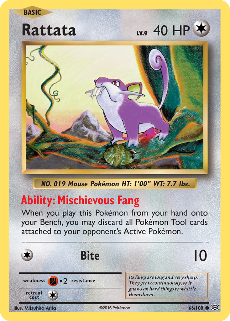 Rattata (66/108) [XY: Evolutions] | Good Games Modbury