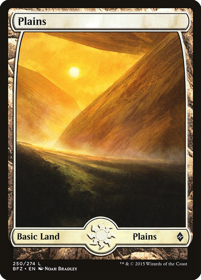 Plains (250) [Battle for Zendikar] | Good Games Modbury