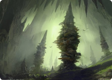 Forest (280) Art Card [Dungeons & Dragons: Adventures in the Forgotten Realms Art Series] | Good Games Modbury