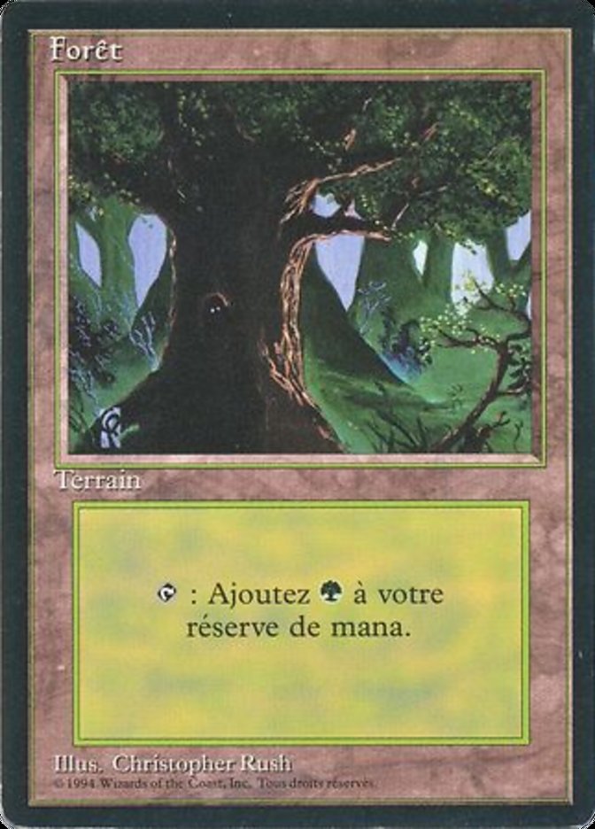 Forest (C) [Foreign Black Border] | Good Games Modbury