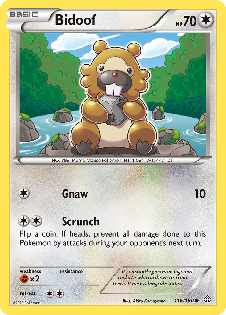 Bidoof (116/160) [XY: Primal Clash] | Good Games Modbury